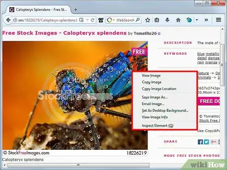 Imagen titulada Disable "No Right Click" Scripts in Firefox Step 3